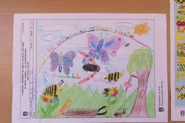 Una alumna del Colegio Hilda Zudán (Telde) gana el concurso escolar de dibujos de invertebrados/TA.